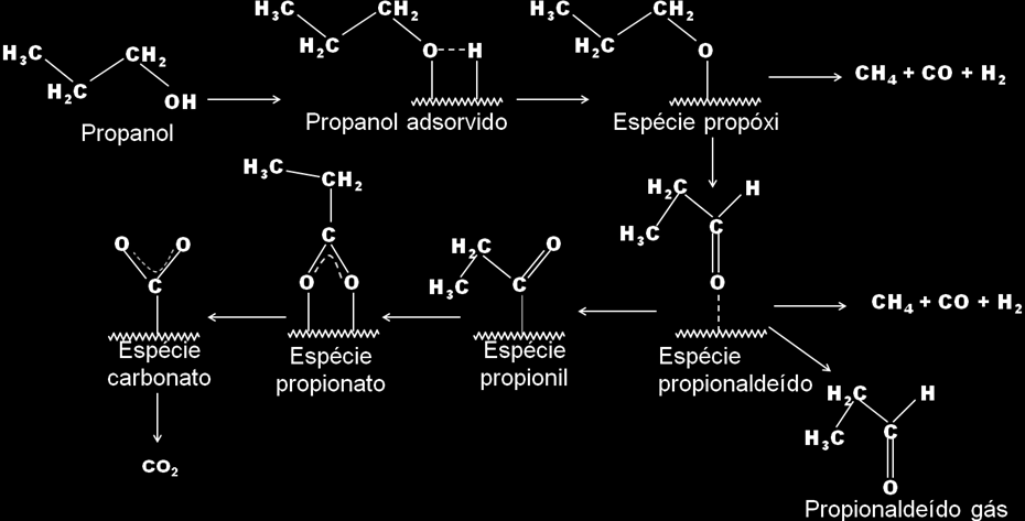 Resultados e Discussão 135 reacional etanol/o 2. Este resultado sugere que o mecanismo da reação seria basicamente o mesmo independente do tamanho da cadeia do álcool.