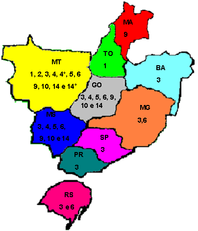 MS, GO, SP, PR, RS, BA, TO e MA), cobrindo mais de 2.500.000 ha (Dias et al., 2007).