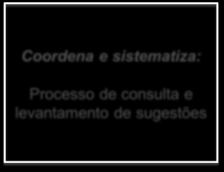 PPCerrado Proposta de Revisão 2012-2015 27 Proposta de arranjo para revisão do PPCerrado Conacer Sociedade Civil Coordena e sistematiza: Processo de consulta e levantamento de