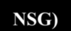 GRUPO DE SUPRIDORES NUCLEARES (Nuclear Suppliers Group ) No âmbito do : Plenária Grupo Consultivo ( Consultative Group CG) Reunião de Peritos em Licenciamento e Implementação ( Licensing and