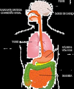 Fonte: Organização Mundial de Saúde (OMS, 2009) Editorial A gripe é uma doença viral, provocada pelo vírus influenza, que afeta predominantemente as vias respiratórias superiores.