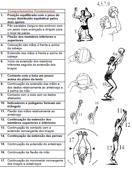 colocasse tantos problemas de material e de ocupação como o ténis, inventou uma nova modalidade, a que chamou de minonette e que deu origem ao voleibol dos nossos dias.