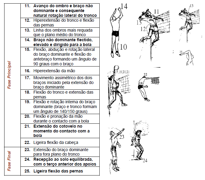 Remate Educação Física