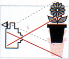 PARA TIRAR BOAS FOTOGRAFIAS COM QUALQUER TIPO DE CÂMERA, VOCÊ DEVE: 2 Enquadrar o assunto com perfeição: Procurar, através do visor, fazer o enquadramento do assunto a ser fotografado, deixando