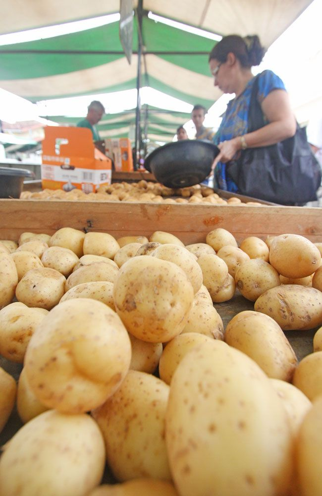 09/02/2015 Preço de alimentos triplica em JF Tribuna de Minas Preço de alimentos triplica em JF Dificuldade de irrigação de plantações reduz a quantidade e compromete a qualidade dos produtos da