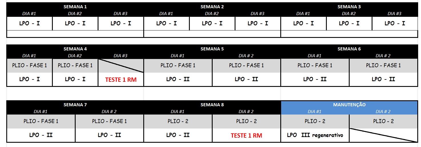 redução do volume de LPO será ajustada pelas novas cargas obtidas no teste de 1 RM realizado na quarta semana.