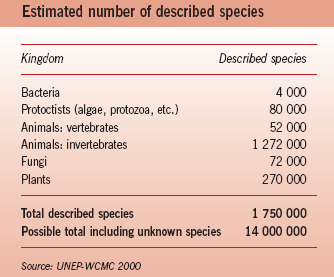 CONVENÇÃO SOBRE DIVERSIDADE BIOLÓGICA CONCEITOS DE BASE Estão identificados, actualmente, 1,75 milhões de espécies, a maioria formada por pequenos seres, como os insectos.