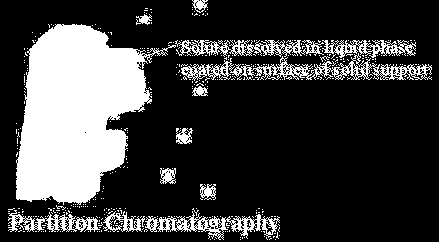 Tipos de interações cromatográficas Fenômenos
