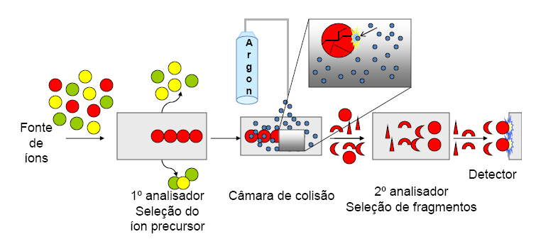 dessa técnica envolve a formação dos íons, a seleção de um íon precursor, a fragmentação desse íon precursor por colisão ( Collision Induced Fragmentation CID) a seleção de um ou mais íons fragmentos.