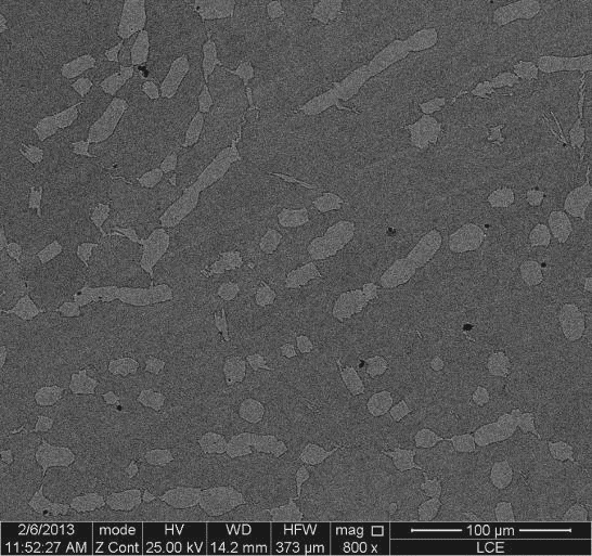 1 Microscopia ótica e microscopia eletrônica de varredura As micrografias do aço inoxidável duplex SAF 2205, na condição bruta de