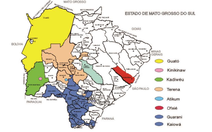 5 Figura 2 - Distribuição da população indígena por etnia em Mato Grosso do Sul 21.