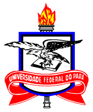 SERVIÇO PÚBLICO FEDERAL UNIVERSIDADE FEDERAL DO PARÁ INSTITUTO DE GEOCIÊNCIAS FACULDADE DE GEOFÍSICA