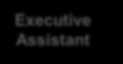 HR Latin America Total Rewards Leader Latin America Country Leader HR Operations Executive Assistant Country Total Rewards 4 positions Payroll