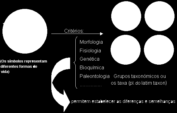 Os Sistemas de Classificação baseados em um grande