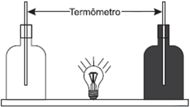 Calcula-se que a velocidade de propagação dessa onda humana é 45 km/h e que cada período de oscilação contém 16 pessoas, que se levantam e sentam organizadamente distanciadas entre si por 80 cm.