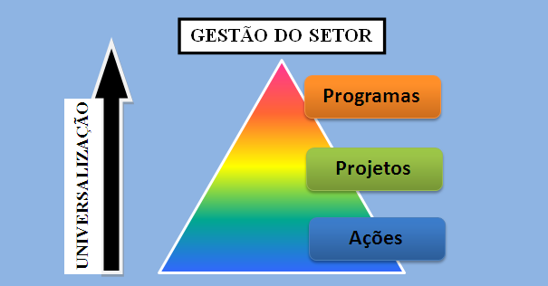 Programas, Projetos e