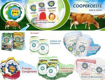 Cadeia produtiva: elemento de integração Entender o funcionamento da cadeia e mapear o conjunto de EES, trabalhando o fluxo do produto desde o insumo até o consumo final.