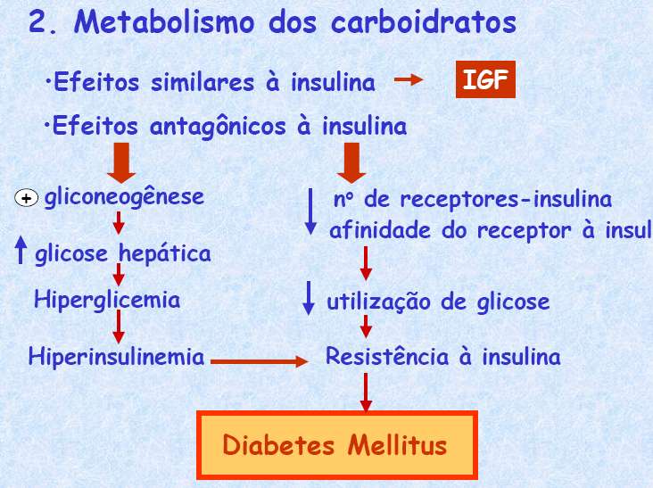 Diabetes AÇÕES