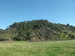 ROTEIRO TURÍSTICO Z. CENTRO Sabores da Rolha propõe uma visita a uma região rica em diversidade cultural e paisagística da gastronomia a serra, ao campo e a praia.