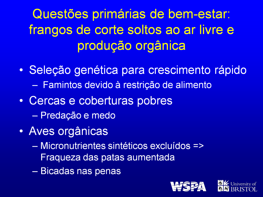 Apesar de que as aves em sistemas soltos ao ar livre possam exibir mais comportamentos naturais, existem problemas significativos.