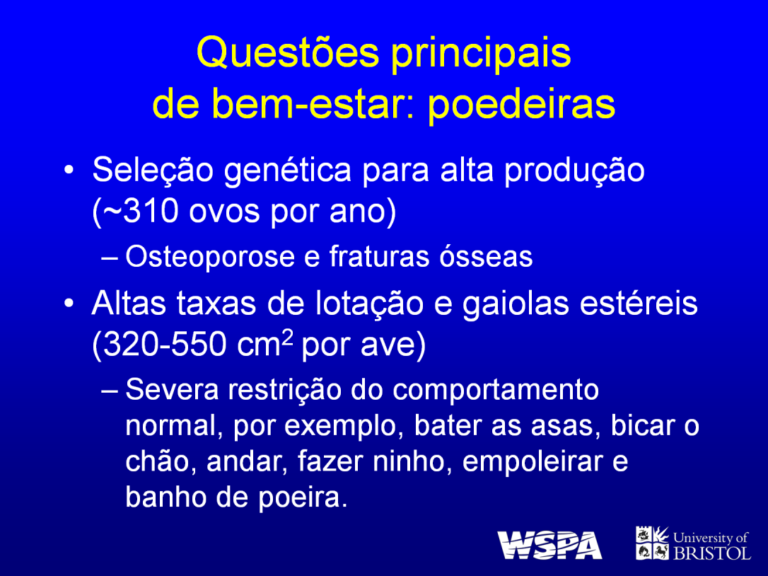 O principal problema inerente para poedeiras, em todos os sistemas de criação, é representado pelas fraturas ósseas, tanto durante o ciclo de postura quanto durante a remoção das aves das instalações.