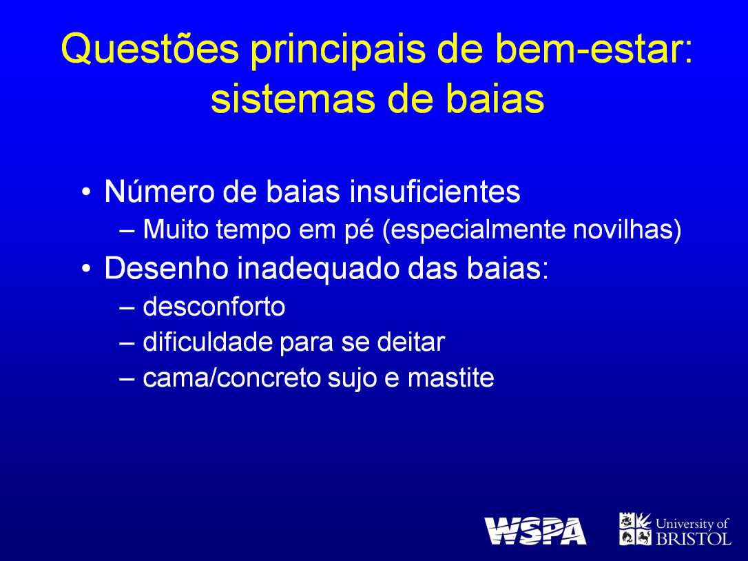 Os principais problemas em sistemas de baias incluem: Baias insuficientes para o número de animais, levando as vacas a ficarem por muito tempo em pé, especialmente as subordinadas e as novilhas