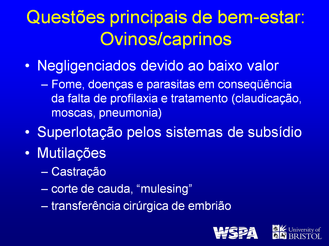 Caprinos e ovinos podem ser tratados com negligência por causa de seu baixo valor. Eles são suscetíveis à fome, doenças e parasitas em conseqüência da falta de profilaxia e tratamento.