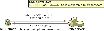 DNS Reverso Ao contrário da pesquisa DNS direta, onde dado um nome de domínio retorna-se com um endereço IP, na pesquisa DNS reversa é dado um endereço IP e como resultado