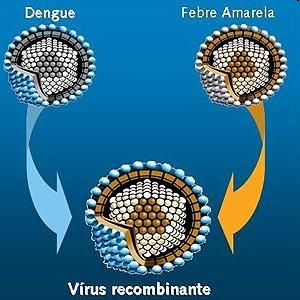 Dengue Vacina