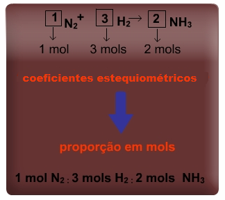 MÓDULO III PESQUISANDO, APLICANDO E EXPERIMENTANDO ESTEQUIOMETRIA Imagem: Arquivo pessoal Eliana T. H. Costa Vocês estão chegando às etapas finais desta unidade de aprendizagem.