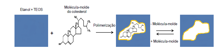 A Figura 1 representa o processo de obtenção de um polímero impresso molecularmente descrito por Soares et al.