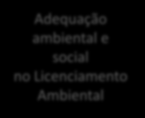 Ministério do Meio Ambiente Grandes Empreendimentos e Meio Ambiente Projetos com diferentes: - tecnologias - padrões - objetivos Adequação ambiental e social no