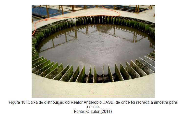 Figura 18 : Caixa de distribuição do reator Anaeróbico UASB,