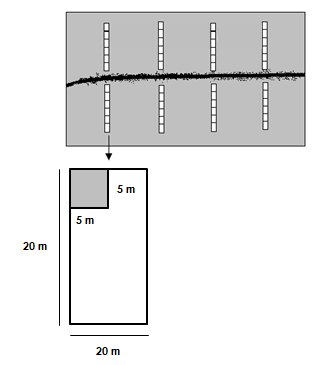 Figura 6 Esquema amostral para as categorias da vegetação da mata de galeria e mata ciliar. 4.1.3.