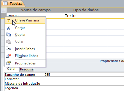 Definir a chave primária Outra forma de definir a chave primária é clicando