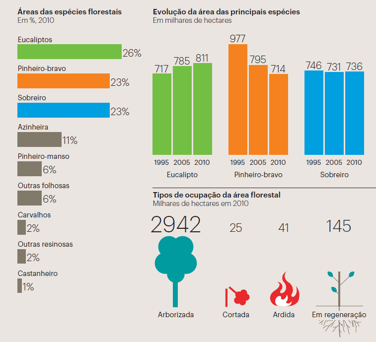 Biomassa Florestal - sustentabilidade do recurso Como cresceu o recurso ao longo dos últimos anos?