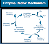 LA LSRE-LCM Breve apresentação GRUPOS Cyclic Adsorption/Reaction Processes Cyclic Adsorptive Processes Multifunctional Reactors/Process