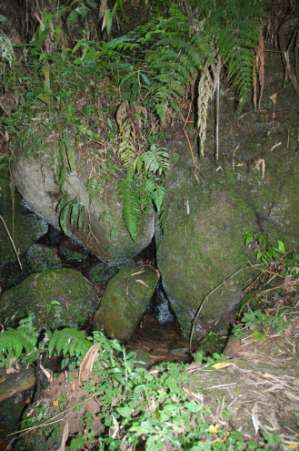 Reserva Florestal Pedreira Itapeti Área total: 110 ha Cerca de