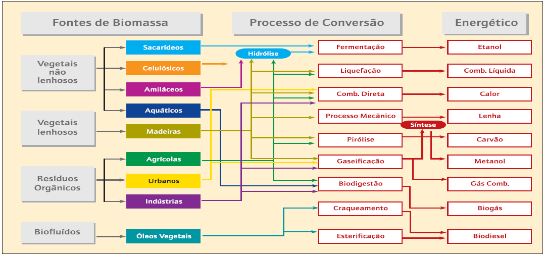 248 O aproveitamento da biomassa pode ser feito através de processos biológicos (fermentação e digestão anaeróbia), processos termoquímicos (gaseificação, liquefação, pirólise e transesterificação)