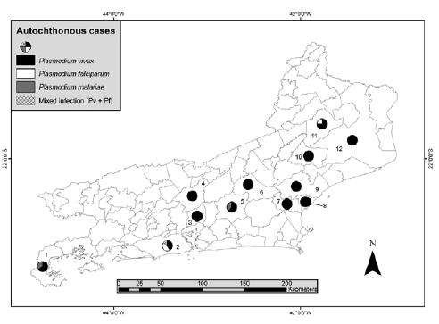 Casos autóctones detectados no estado do Rio de Janeiro janeiro de 2002-agosto de 2010.