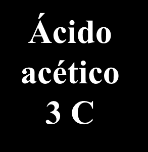 Fermentação Acética ATP NADH Piruvato (3 C) NAD NADH 2 H 2 O Ácido acético 3 C Glicose