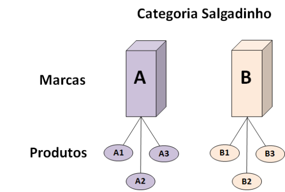 19 Figura 2 Exemplificação da coleta de dados da categoria salgadinho.