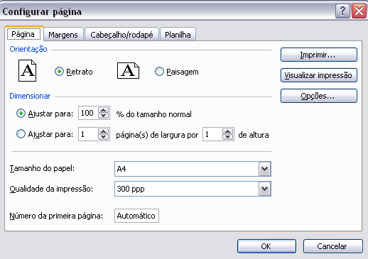 20. IMPRESSÃO Antes de imprimir um documento, clique no menu Arquivo, Visualizar Impressão. Para que o usuário possa verificar como será impressa a planilha e os dados contidos.