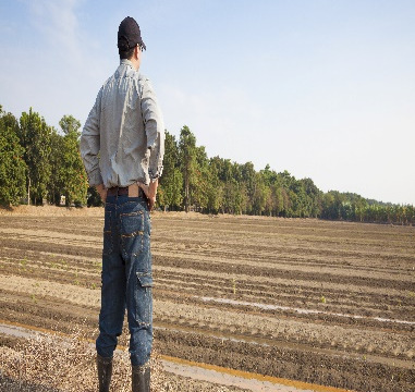 Planejamento Estratégico e Gerenciamento da Propriedade Rural 5.