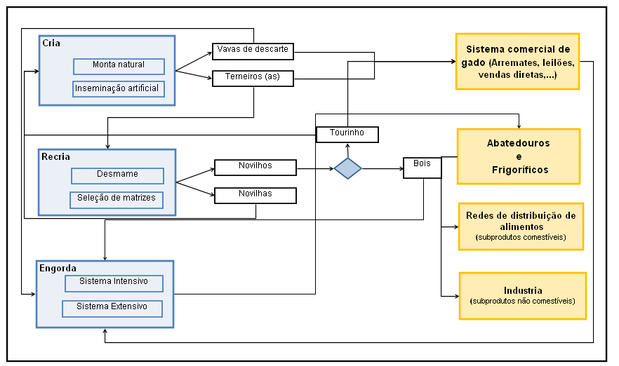 Interação entre os Sistemas de Produção e o Mercado Figura 1.