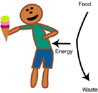 Introdução a Termodinâmica Termodinâmica: Estudo dos estados estacionários da matéria e como eles diferem uns dos outros em termos de quantidade de energia Termodinâmica nos dá um conjunto de regras