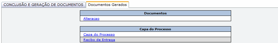 Conclusão e Geração de Documentos Informe o nome do responsável representante da pessoa jurídica, telefone do representante e e-mail.