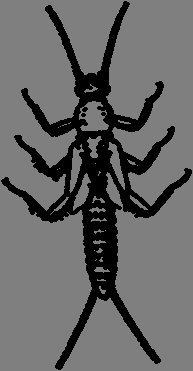 (Zygoptera larvas) libelinhas (Anisoptera larvas) isópode Sensíveis N AUDIT TRI AUDIT ID AUDIT Tot AUDIT Tricóptero (larvas)