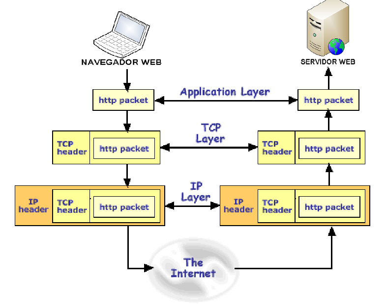 TCP/IP