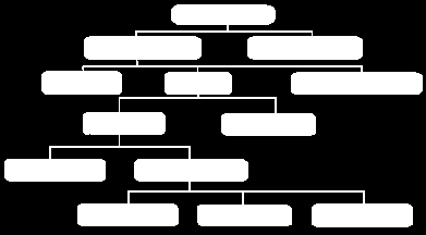 ORGANOGRAMA DAS